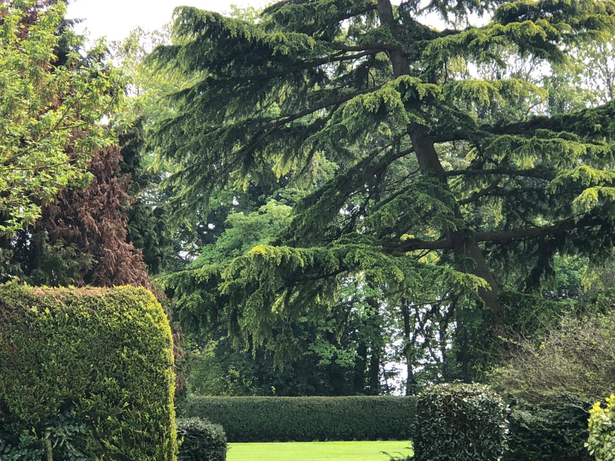 Wartling Place Country House Exterior foto